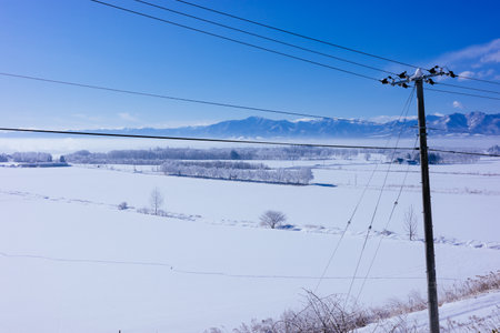blue sky and snow fieldの写真素材