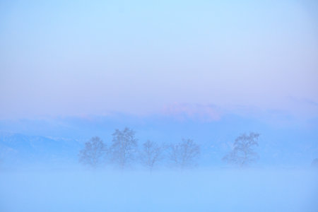 sunrise and cold fog  in winterの写真素材