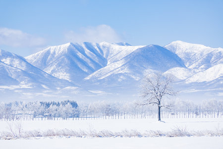 blue sky and snow fieldの写真素材
