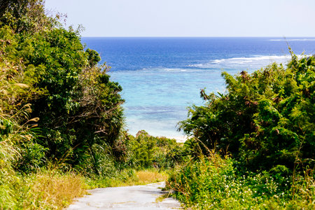 Amamichu's Tomb in okinawa Japanの写真素材