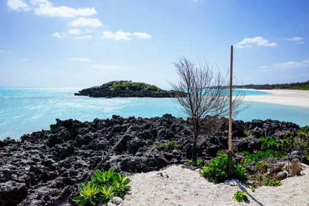 clear waves and sandy beachの写真素材