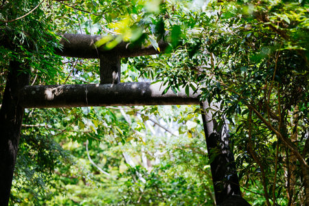 old torii and forest in okinawaの写真素材
