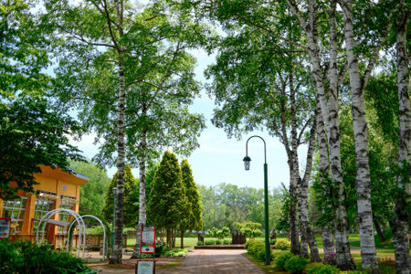 Midorigaoka Park in summer hokkaidoの写真素材