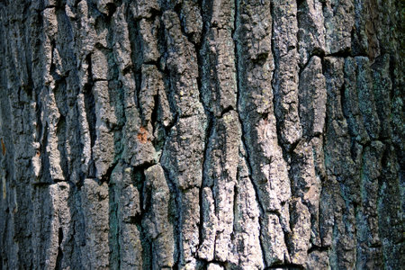 close up wooden surface for background