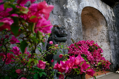 Shisa figurine in okinawa Japanの写真素材
