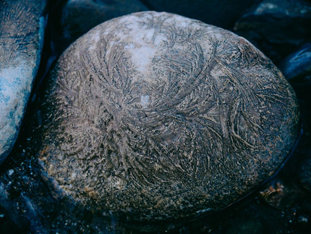 frozen stone in winter hokkaidoの写真素材