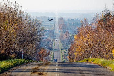 straight road in autumn hokkaido