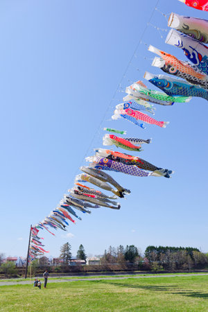 carp streamer in may Japan