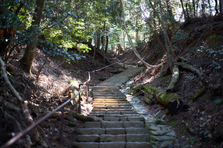 kurama mountain trail in kyoto