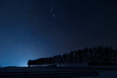 star and green field in summerの写真素材