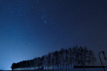 star and green field in summerの写真素材