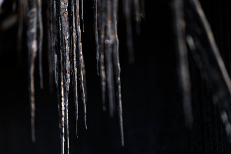 Icicles hanging on a black background. Close-up.の写真素材
