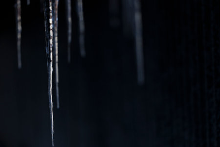 Icicles on a black background. Shallow depth of field.の写真素材