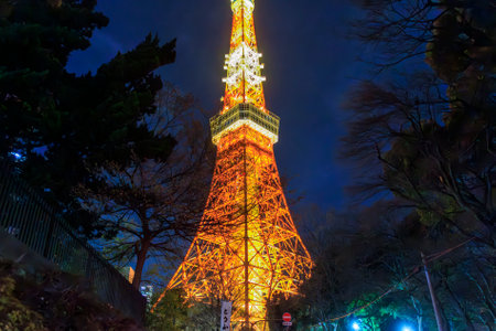 Tokyo Tower at night, Japan. Tokyo is the capital and most populous city of Japan.