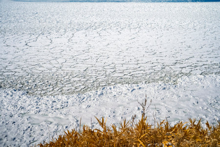 drift ice in cape notori