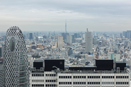 The view from Tokyo Metropolitan Government Buildingの写真素材