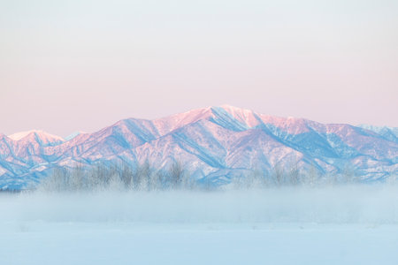 landscape in winter hokkadio Japanの写真素材