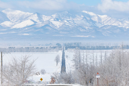 road in winter hokkaido Japanの写真素材