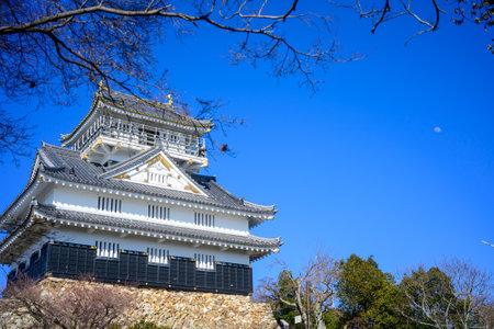 gifu castle and blue skyの写真素材
