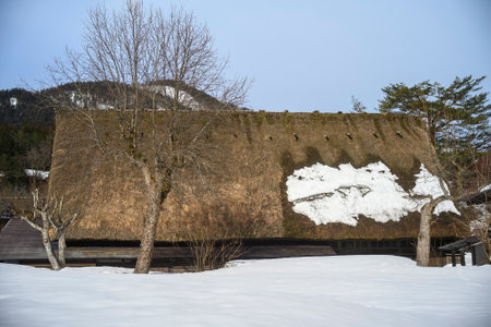 shirakawago in winter gifu Japanの写真素材
