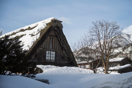 Historic Village of Shirakawa-go in winter, Japanの写真素材