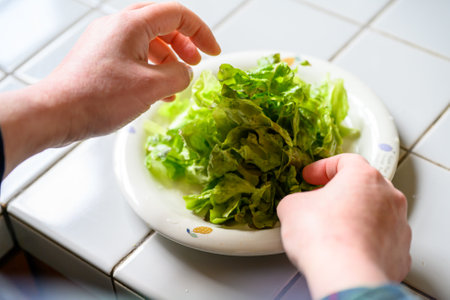 Closeup of man's hands washing fresh green salad on white plateの写真素材