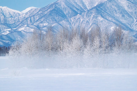 cold fog and mountainrange in hokkaidoの写真素材