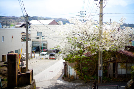 townscape in sado island Japan