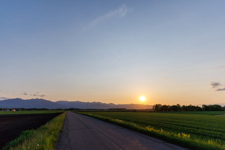 sunset and field in hokkaidoの写真素材