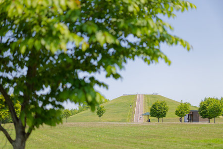 A park with beautiful fresh greeneryの写真素材