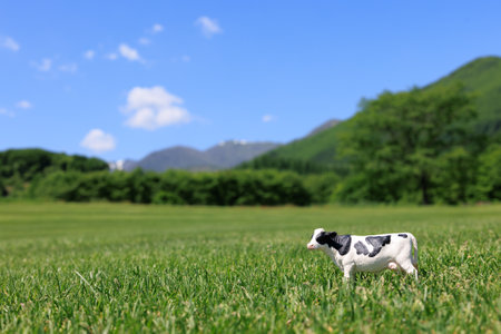 Cute little black and white calf on green grass in the meadowの写真素材