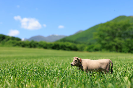 Braun Whiskey Cow figure in pastureの写真素材