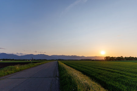 Sunset in the field with a road and mountains in the backgroundの写真素材