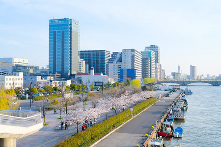 Niigata City and the Shinano Riverの写真素材