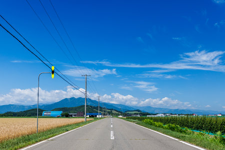 Country road and blue sky with white clouds.の写真素材