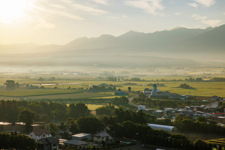 nakafurano town in early morningの写真素材
