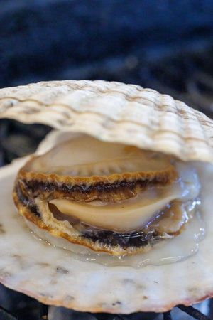 Close up of fresh raw scallops on a barbecue grill.