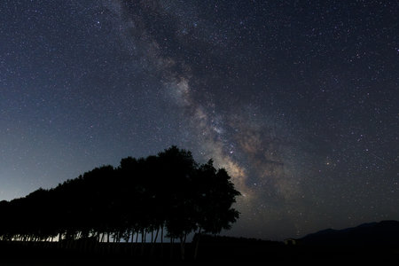 Milky Way and Tree Silhouette at night. Long exposure photograph.with grainの写真素材