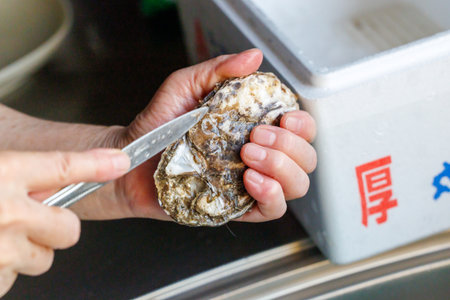 Oyster in the hands of a woman, closeup of photoの写真素材