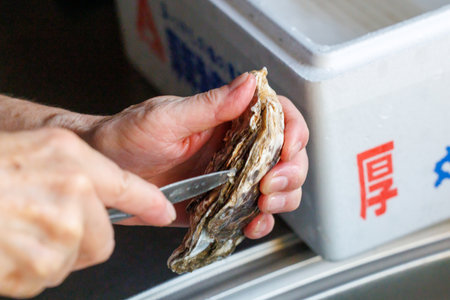 Oyster being held by a woman's hand in a restaurantの写真素材