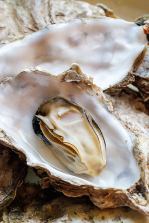Fresh oysters in shell on wooden table, closeup of photo