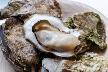 Fresh oysters on a white plate, close-up, macroの写真素材