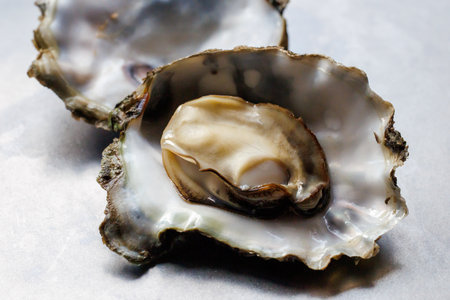 Fresh oysters on a white background. Close-up view.