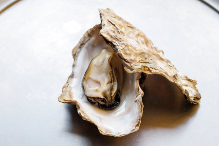 Fresh oyster on a metal plate, close-up, selective focusの写真素材