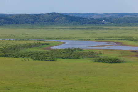 kiritappu wetlands in hamanaka hokkaidoの写真素材