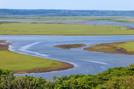 kiritappu wetlands in hamanaka hokkaido