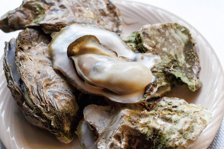 Fresh oysters on a plate on a white background, close-up