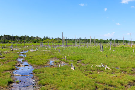 scenery of syunkunitai in hokkaido