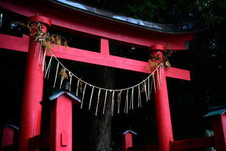 red torii in japan shrineの写真素材