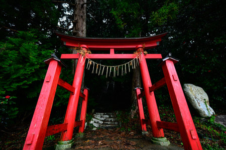 red torii in japan shrineの写真素材
